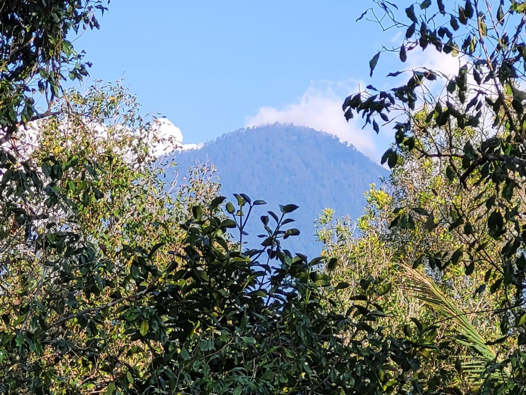 Umah Yugadi Bali Daire Munduk Dış mekan fotoğraf