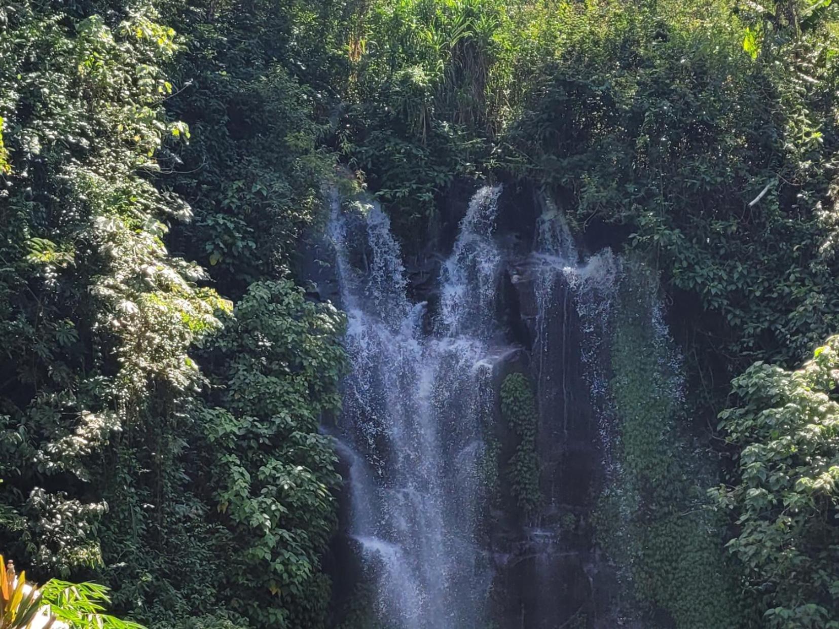 Umah Yugadi Bali Daire Munduk Dış mekan fotoğraf