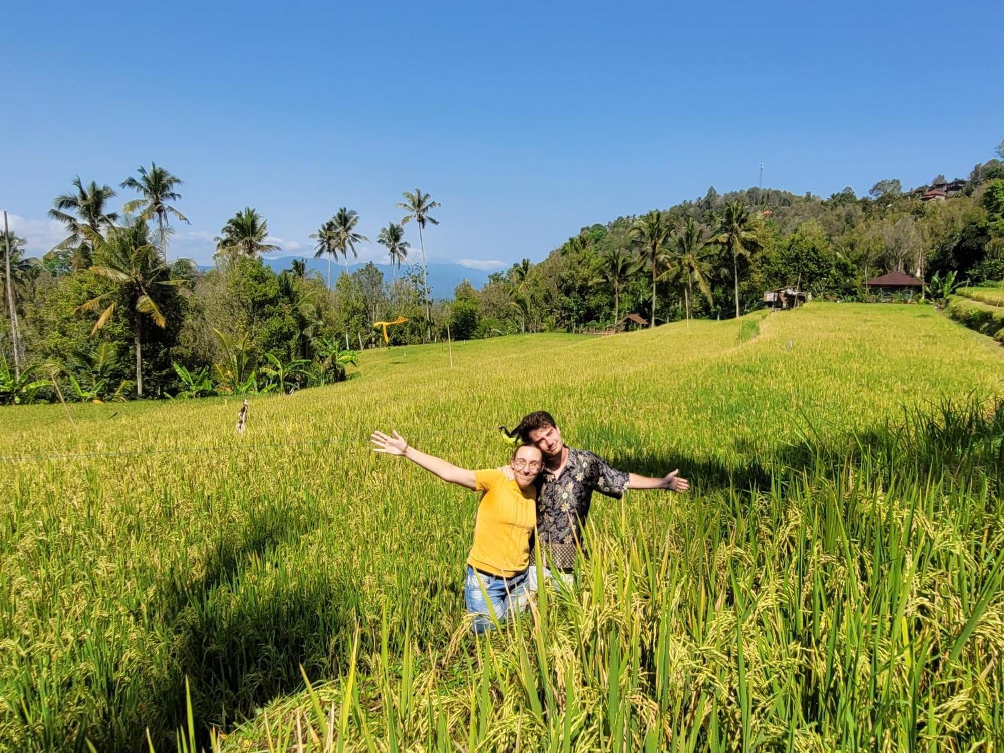 Umah Yugadi Bali Daire Munduk Dış mekan fotoğraf