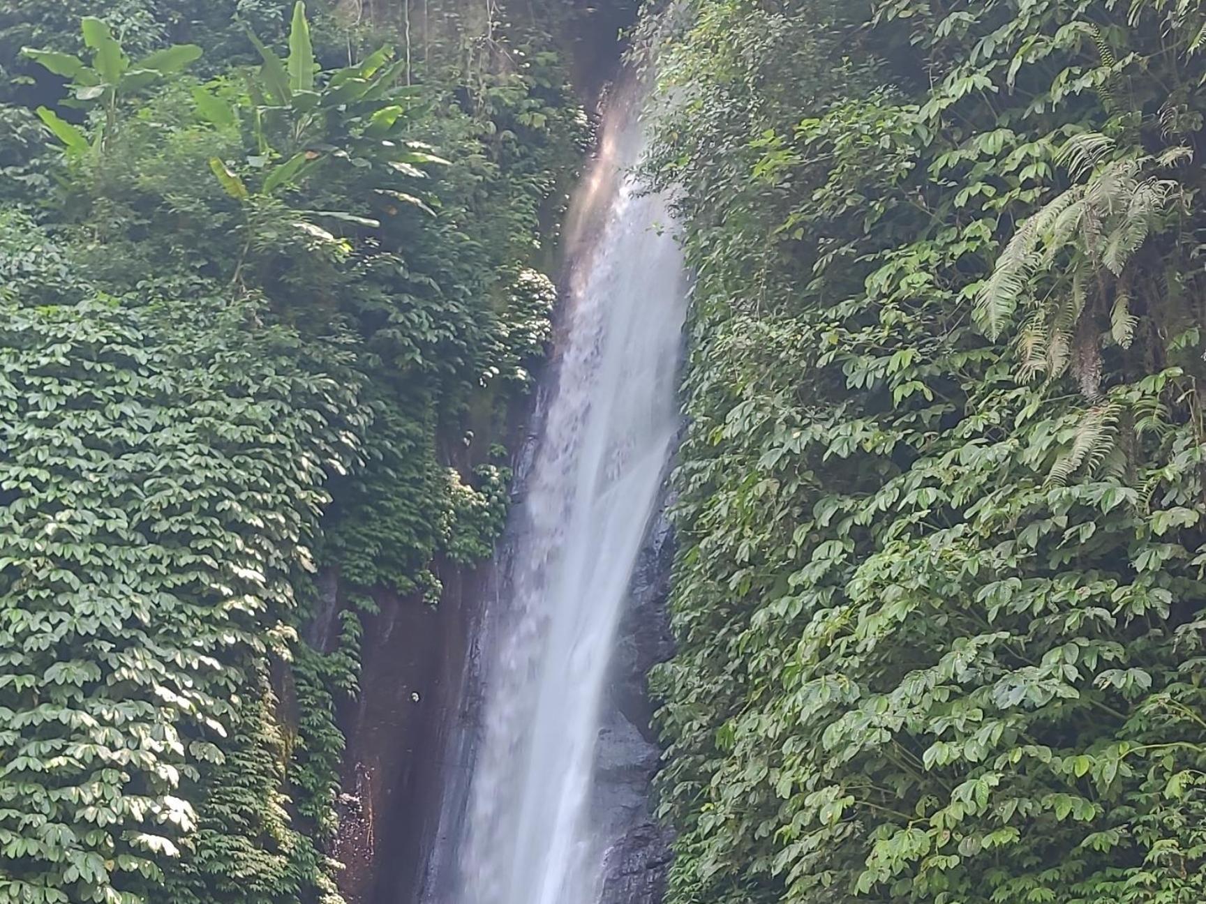Umah Yugadi Bali Daire Munduk Dış mekan fotoğraf