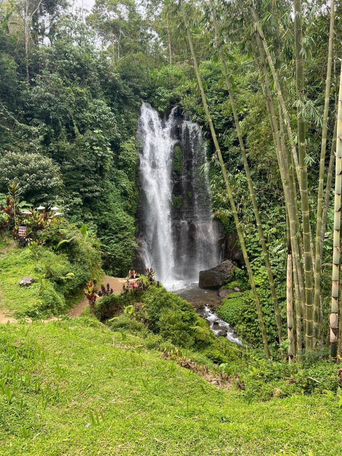 Umah Yugadi Bali Daire Munduk Dış mekan fotoğraf