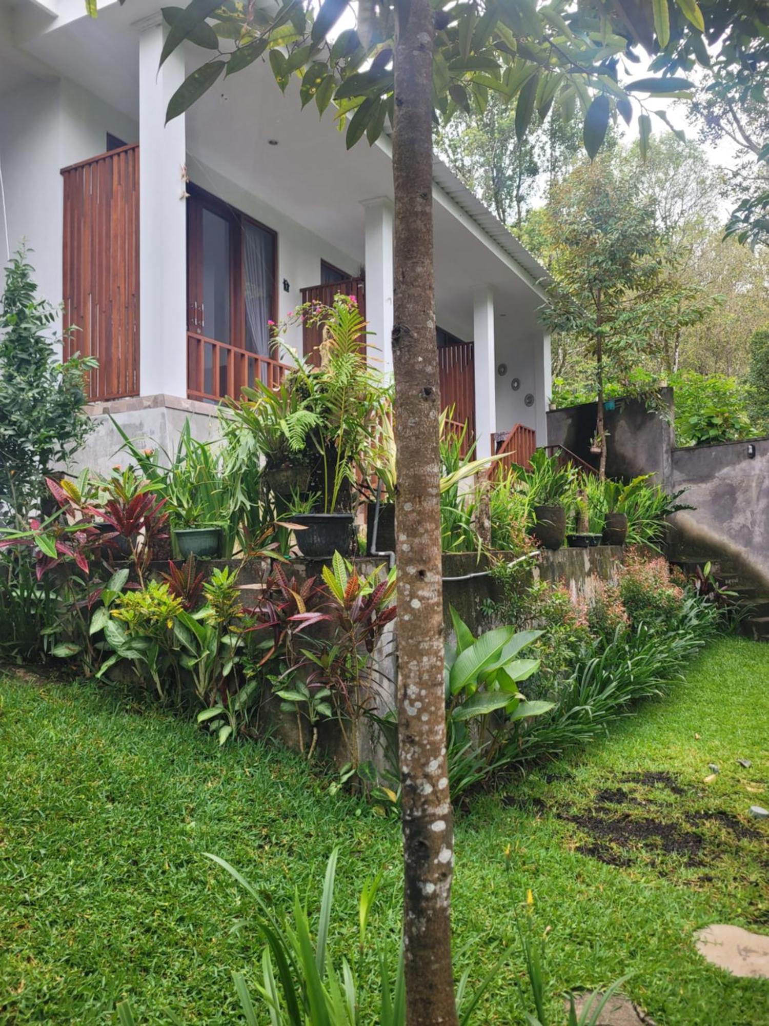 Umah Yugadi Bali Daire Munduk Dış mekan fotoğraf